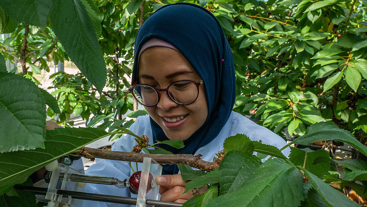 team-fruit-science-institute-of-horticultural-production-systems